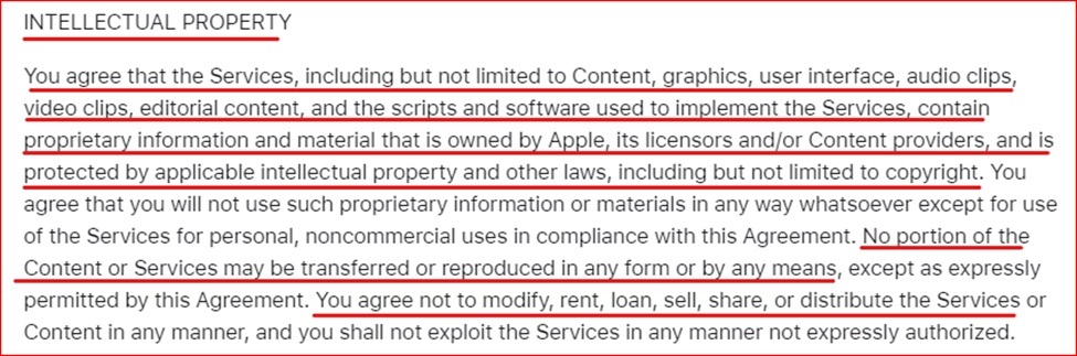 Apple Terms IP clause